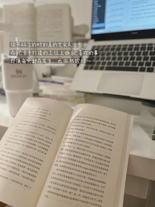 丹麦人松弛感和幸福感的来源OG视讯《丹麦一年》 探究(图3)