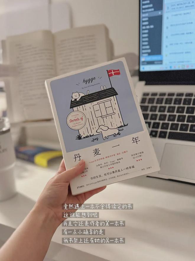 丹麦人松弛感和幸福感的来源OG视讯《丹麦一年》 探究(图6)