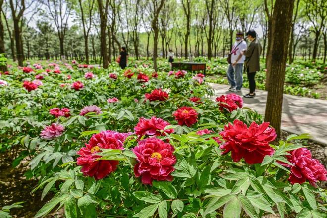 三大+书市+特色小镇打卡文旅新地标OG真人120小时玩转副中心-2：(图5)