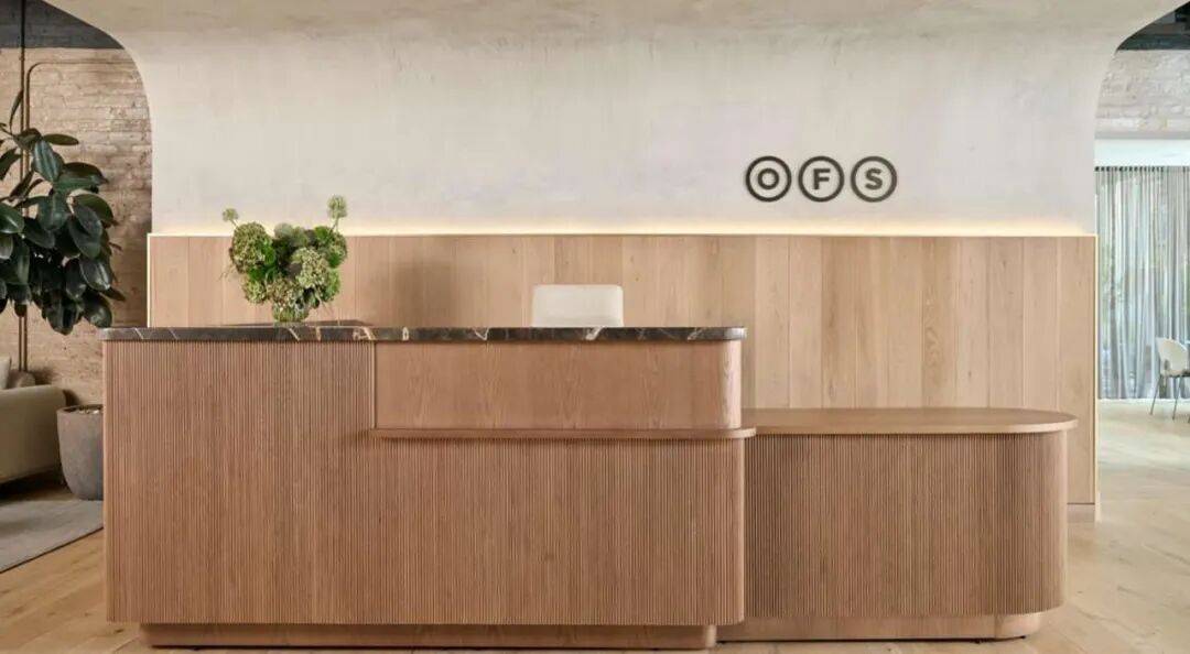 DAYS 2025 双展联动 拥抱未来OG真人NEOCON  DESIGN(图8)